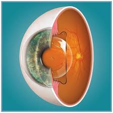 LASIK SURGERY IN NASHIK — Bapaye Eye Hospital, Nashik