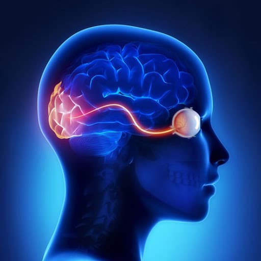 Other Services — Bapaye Eye Hospital, Nashik
